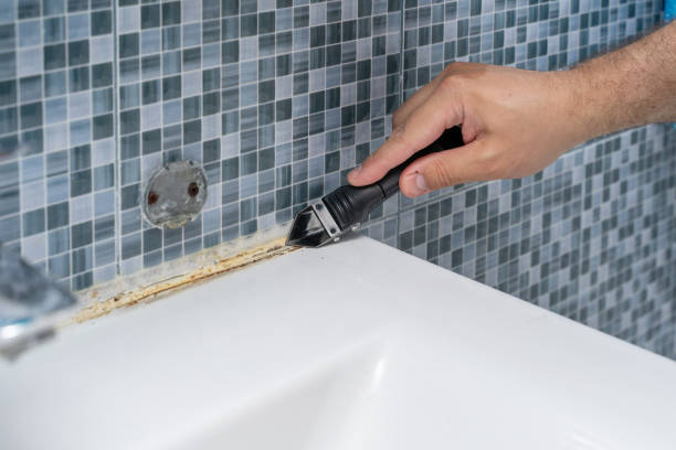 Best DIY Mold Remediation Support Services in Bellville, OH